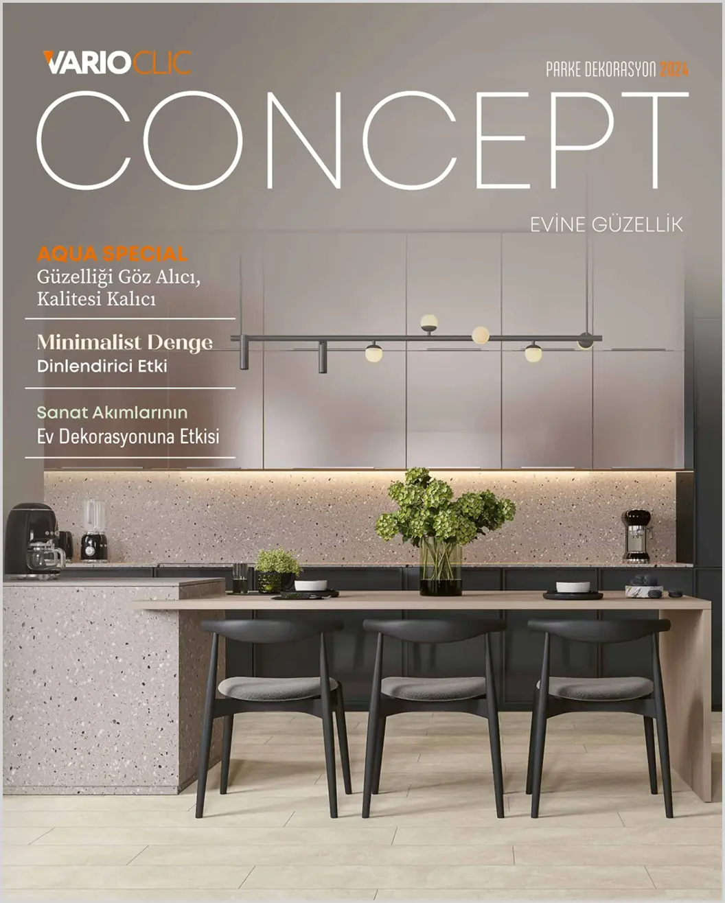 Varioclic - Concept 2024