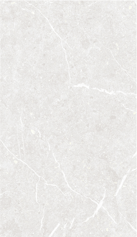 30x60 Stone Light Grey