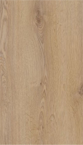 Trend Oak